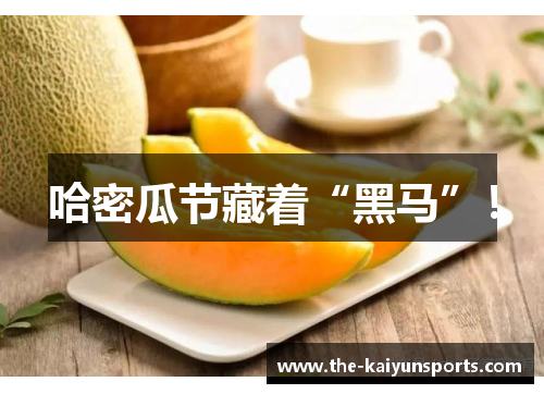 哈密瓜节藏着“黑马”！