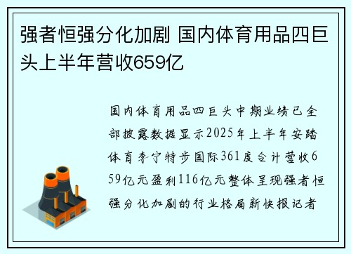 强者恒强分化加剧 国内体育用品四巨头上半年营收659亿